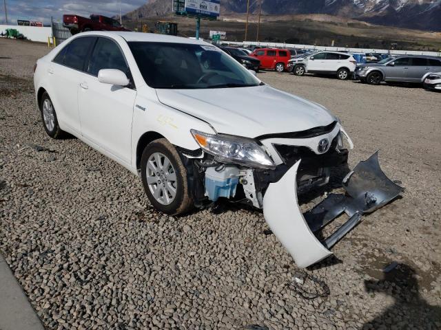 Toyota Camry hybr (2008)
