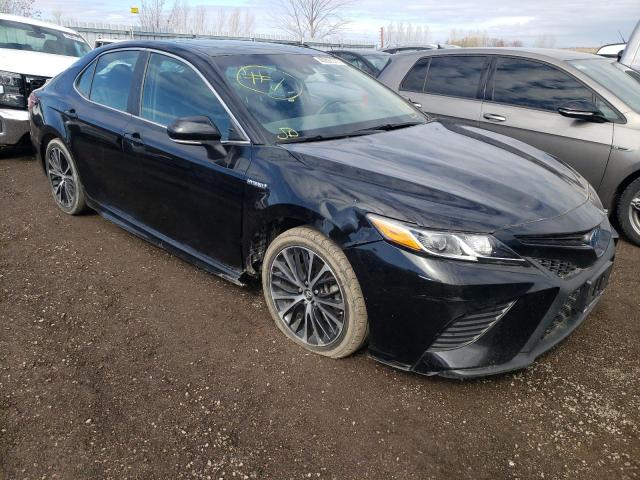 Toyota Camry hybr (2018)