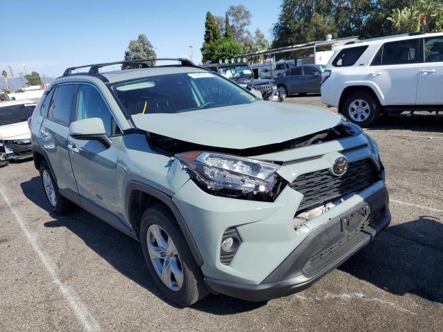 Toyota Rav4 xle (2019)
