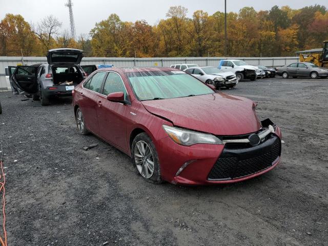 Toyota Camry hybr (2015)