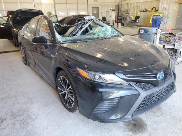 Toyota Camry hybr (2019)