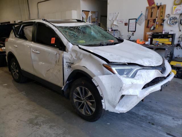Toyota Rav4 hv xl (2016)