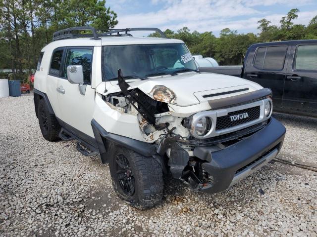 Toyota Fj cruiser (2010)