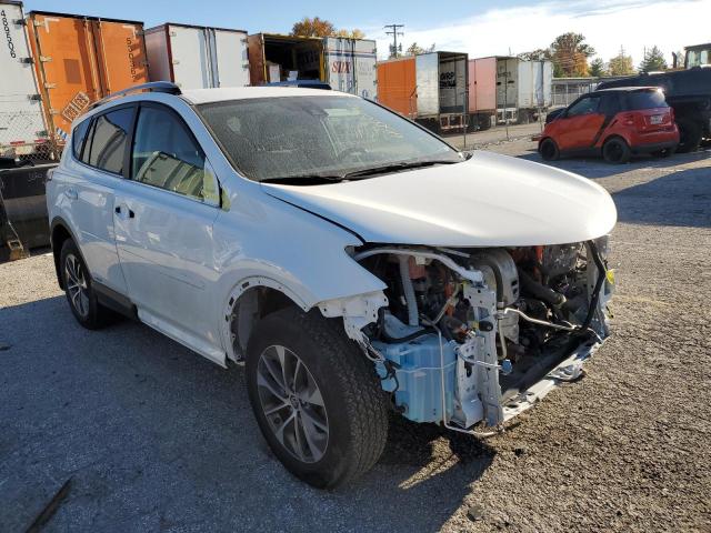 Toyota Rav4 hv le (2018)