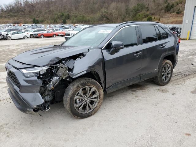 Toyota Rav4 xle p (2022)