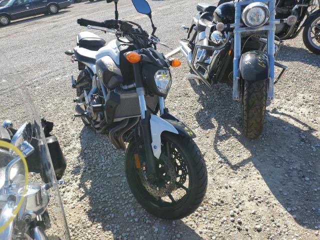 Yamaha Fz07 (2015)