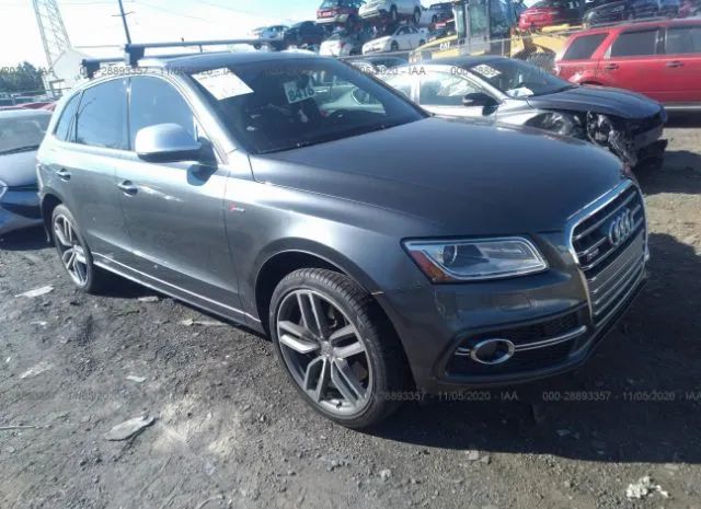 Audi Sq5 (2015)
