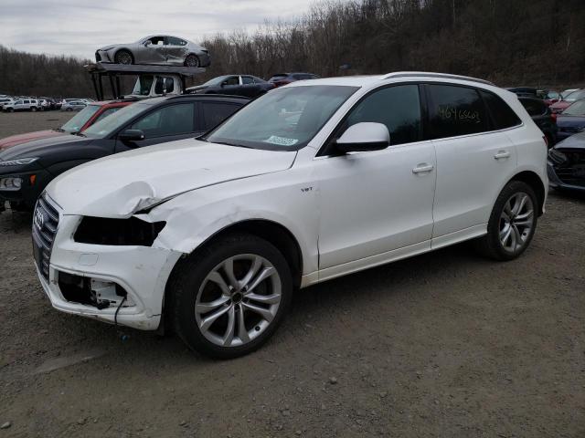 Audi Sq5 (2013)