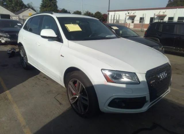 Audi Sq5 (2016)