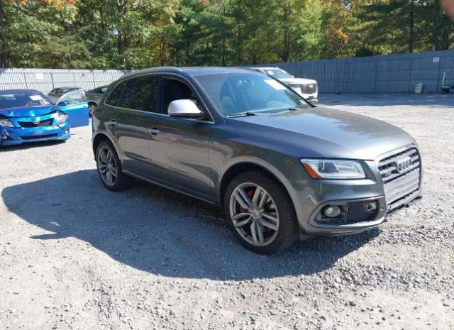 Audi Sq5 (2016)