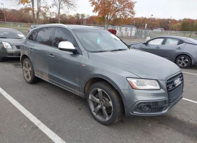 Audi Sq5 (2014)
