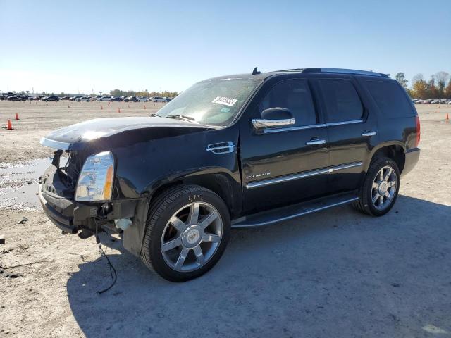 Cadillac Escalade l (2011)