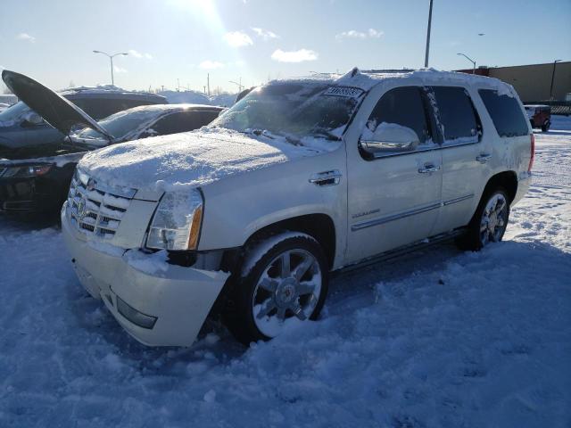 Cadillac Escalade l (2011)