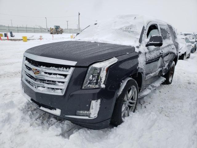 Cadillac Escalade l (2016)
