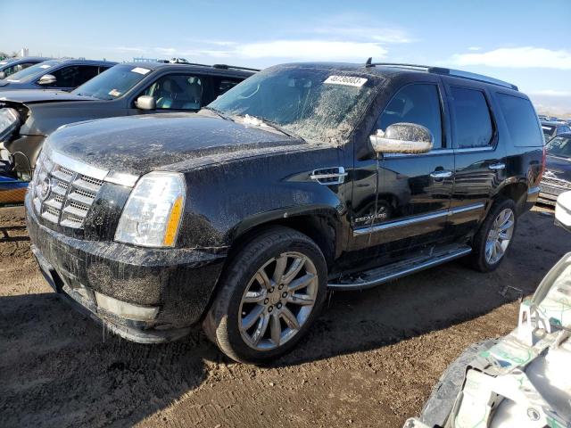Cadillac Escalade l (2010)