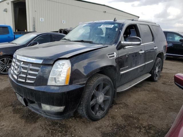 Cadillac Escalade l (2010)