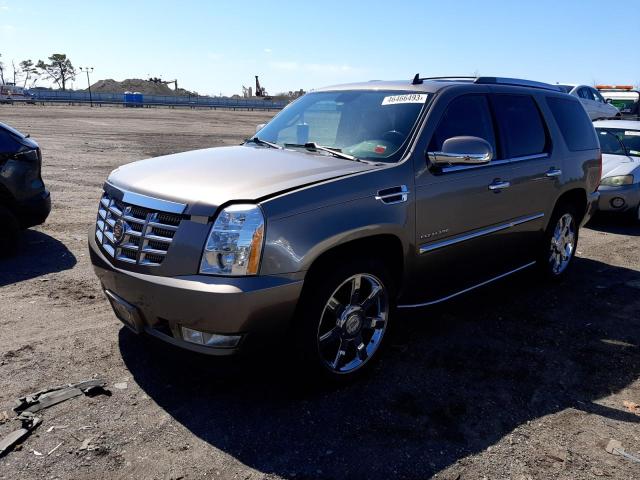 Cadillac Escalade l (2011)