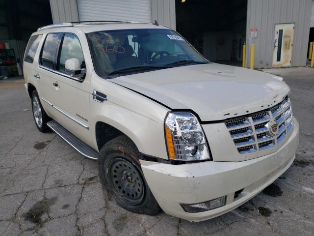 Cadillac Escalade l (2013)