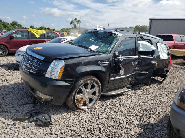Cadillac Escalade l (2011)