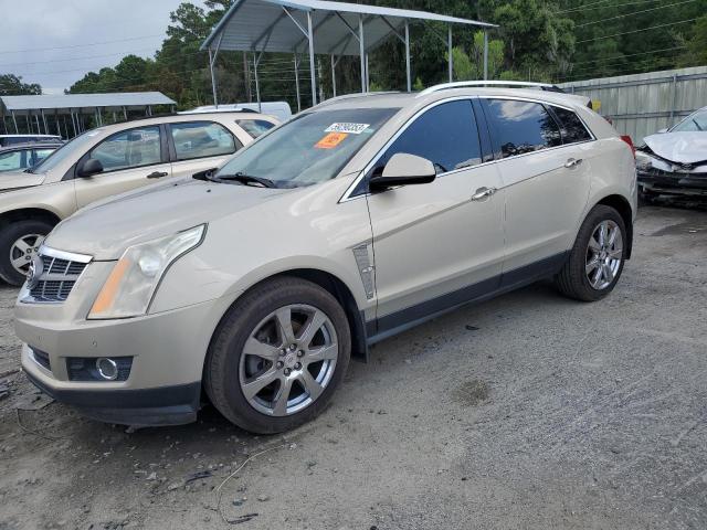 Cadillac Srx perfor (2012)