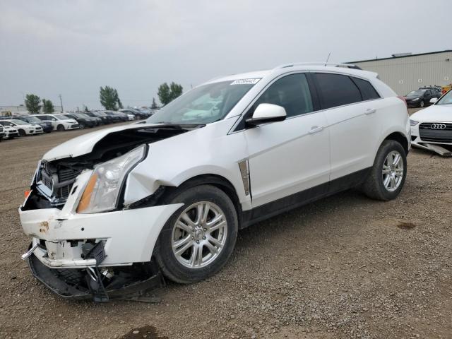 Cadillac Srx perfor (2012)