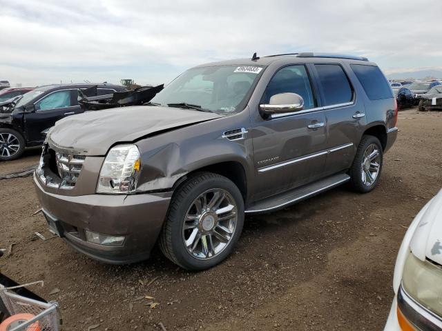 Cadillac Escalade l (2013)