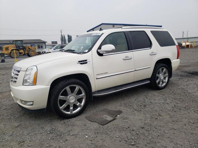 Cadillac Escalade l (2011)