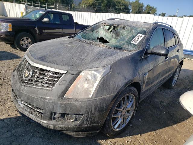 Cadillac Srx perfor (2013)