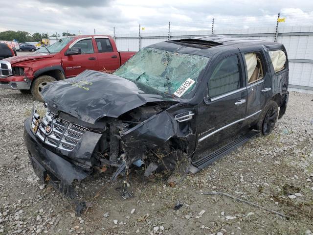 Cadillac Escalade l (2009)
