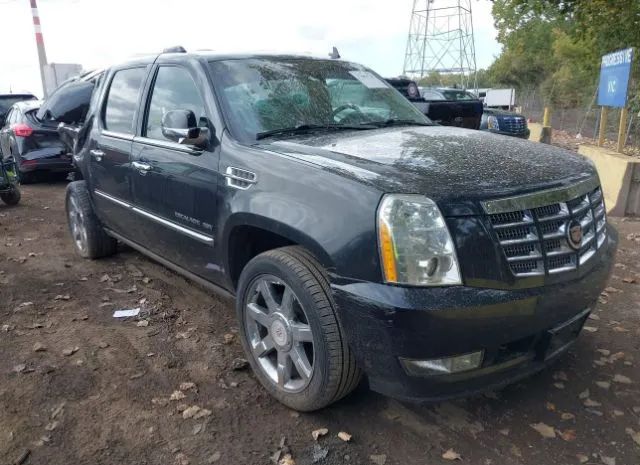 Cadillac Escalade esv (2011)