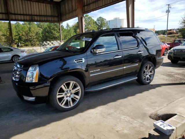 Cadillac Escalade l (2019)