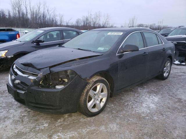 Chevrolet Malibu ls (2010)