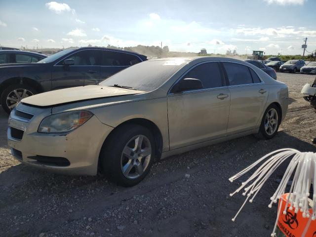 Chevrolet Malibu ls (2011)