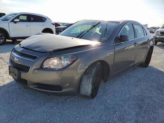 Chevrolet Malibu ls (2010)