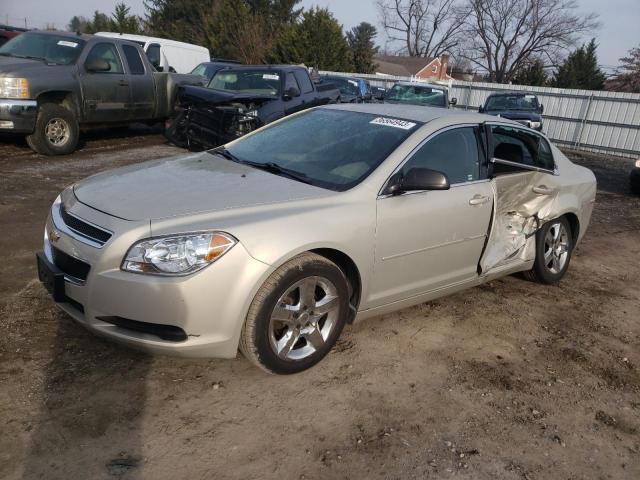 Chevrolet Malibu ls (2012)