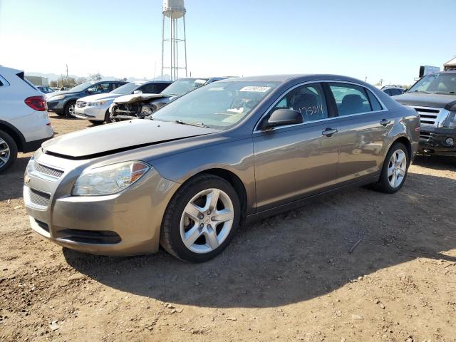 Chevrolet Malibu ls (2012)