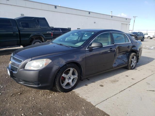 Chevrolet Malibu ls (2011)