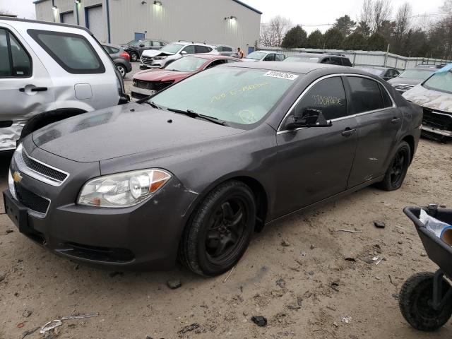 Chevrolet Malibu ls (2011)