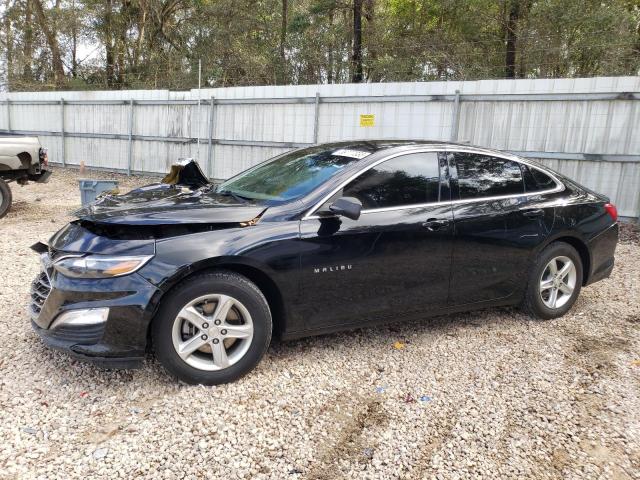 Chevrolet Malibu ls (2019)