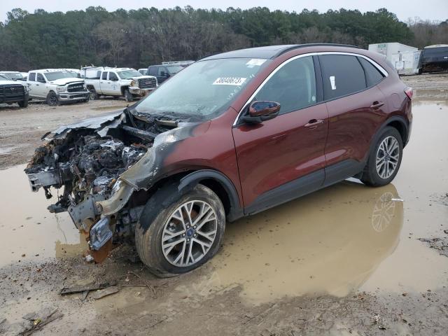 Ford Escape sel (2021)