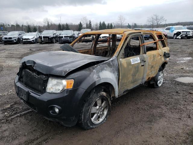 Ford Escape xlt (2010)