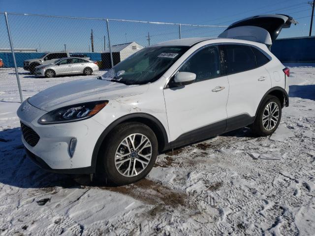 Ford Escape sel (2022)