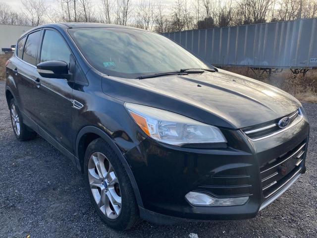 Ford Escape sel (2013)