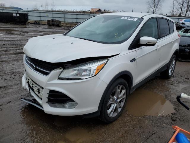 Ford Escape sel (2013)