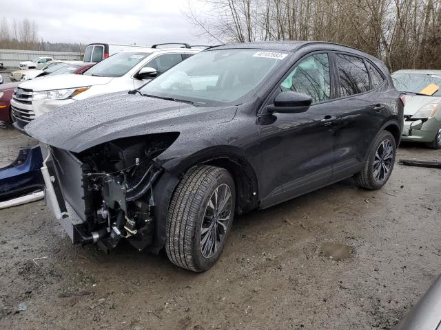 Ford Escape sel (2022)