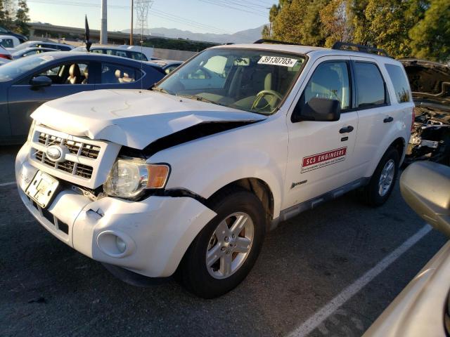 Ford Escape hyb (2010)