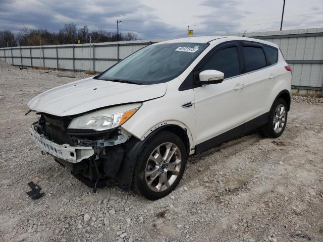 Ford Escape sel (2013)