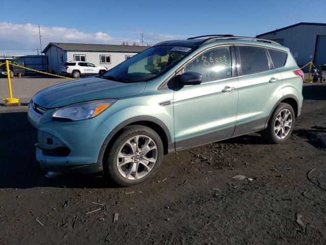 Ford Escape sel (2013)