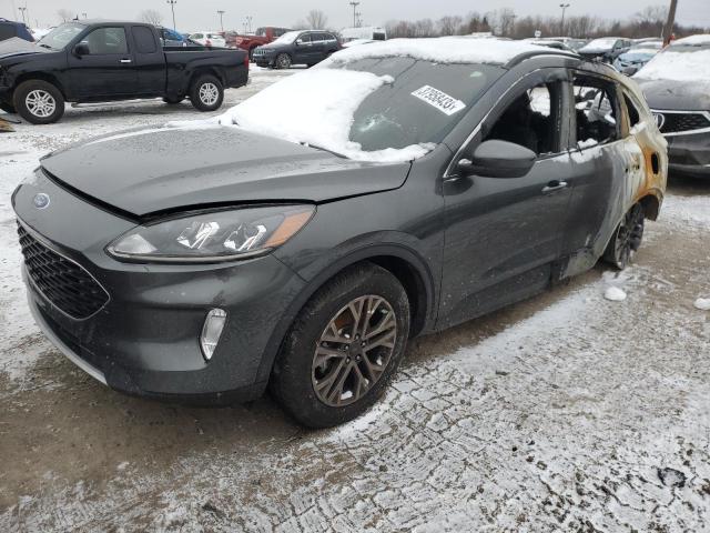 Ford Escape sel (2020)