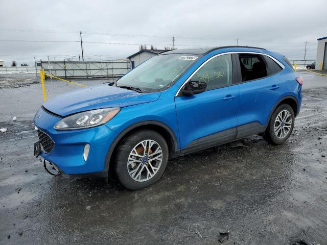 Ford Escape sel (2021)